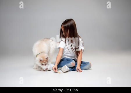 Portrait d'une joyeuse petite fille s'amusant avec chiot Husky Sibérien sur le plancher au studio. L'animal, l'amitié, l'amour, l'animal, de l'enfance, le bonheur, le chien, le concept de vie Banque D'Images