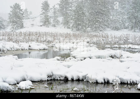 La fin de l'automne de neige dans un étang de castors, Grand Sudbury, Ontario, Canada Banque D'Images