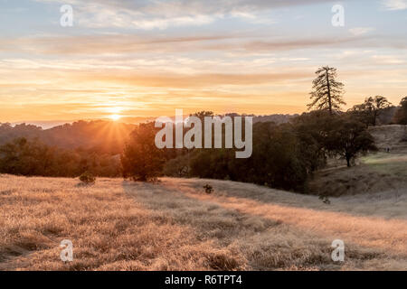 L'herbe devient jaune vif au coucher du soleil avec les nuages rougeoyants, Henry Coe State Park, Californie Banque D'Images