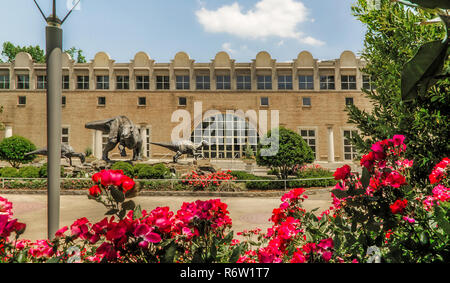 Les fleurs fleurissent en face de le Fernbank Museum of Natural History et Dinosaur Plaza, à Atlanta, Géorgie, le 23 mai 2014. Banque D'Images