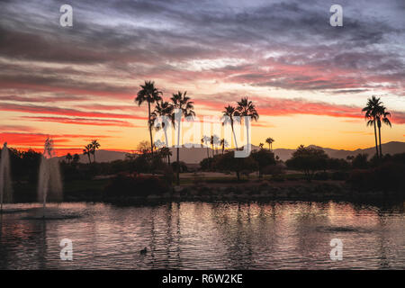 Palm arbres se reflétant dans l'eau au coucher du soleil. Banque D'Images