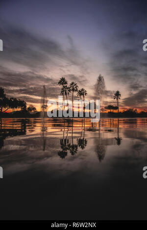 Palm arbres se reflétant dans l'eau au coucher du soleil. Banque D'Images