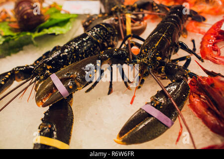 Libre de matières premières grandes crevettes crevettes rouge foncé homard crustacés fruits de mer langouste se tenir sur la glace dans le marché frais derrière le verre sur l'affichage en magasin, boutique. Banque D'Images