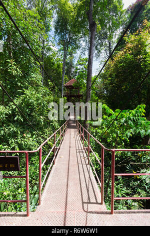 Canopy Walkway à Thung Khai peninsular jardin botanique, la province de Trang, Thaïlande Banque D'Images