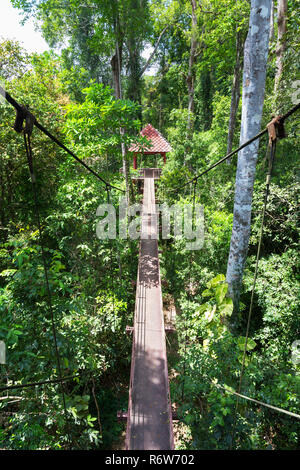 Canopy Walkway à Thung Khai peninsular jardin botanique, la province de Trang, Thaïlande Banque D'Images