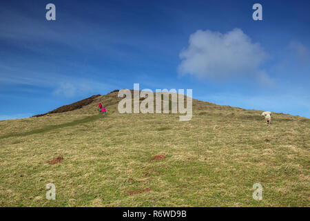 Les belles collines d'Exmoor robuste et sur la côte nord du Devon de l'Angleterre. Banque D'Images