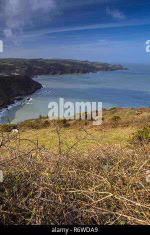 Les belles collines d'Exmoor robuste et sur la côte nord du Devon de l'Angleterre. Banque D'Images