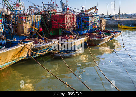 Tôt le matin dans le vieux port de pêche d'Essaouira, Maroc Banque D'Images