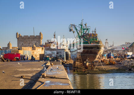 Tôt le matin dans le vieux port de pêche d'Essaouira, Maroc Banque D'Images