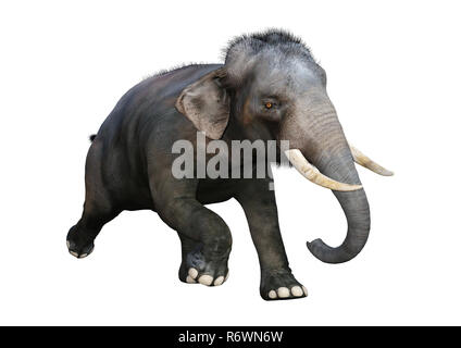 Le Rendu 3D de l'éléphant indien sur fond blanc Banque D'Images