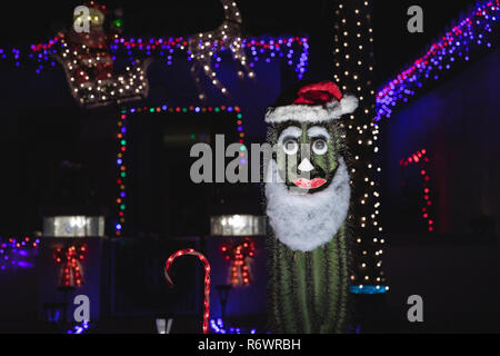 Santa visage sur un cactus de Noël, dans l'Arizona. Banque D'Images