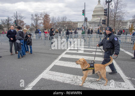 Un chien policier en dehors des patrouilles le Capitole, le 4 décembre 2018. La demeure du président George HW Bush était exposé au Capitol Dec 3 - 5. Banque D'Images