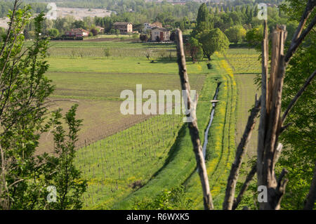 Panorama de la vallée du torrent de Parme avec vue sur des champs et des vignes Banque D'Images