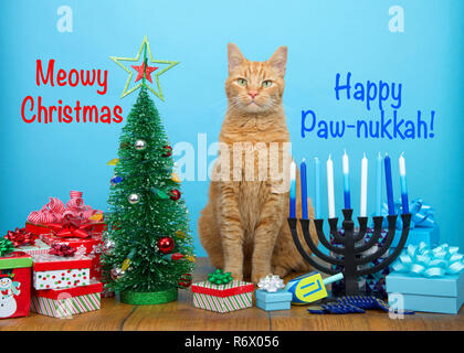 Chat tigré orange assis entre un arbre de Noël et un Hanukkah Menorah, looking at viewer. De nombreuses familles multi foi célébrer à la fois Noël et la Hanukka Banque D'Images