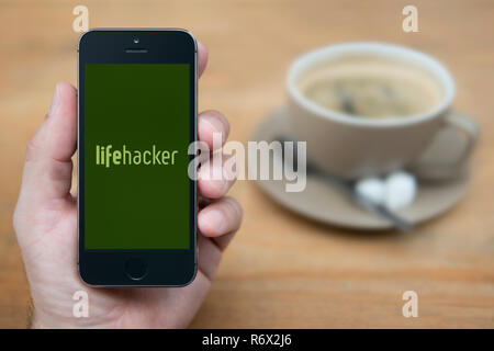 Un homme se penche sur son iPhone qui affiche le logo de LifeHacker (usage éditorial uniquement). Banque D'Images