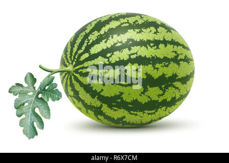 Watermelon et feuille illustration, peinture numérique Banque D'Images