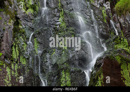 Cascade du Nideck, Alsace, France Banque D'Images