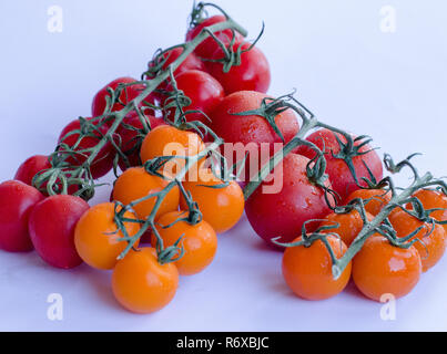 Une variété de tomates dans le groupe sur la vigne sur fond blanc Banque D'Images