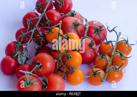 Une variété de tomates dans le groupe sur la vigne sur fond blanc Banque D'Images