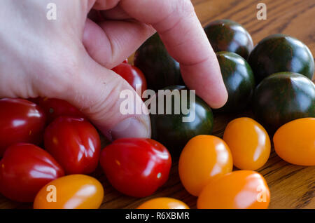 Une cueillette à la main une tomate à partir d'une variété de tomates en groupe sur fond blanc Banque D'Images