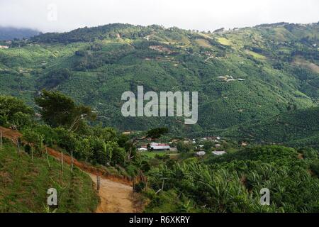 Windling route de campagne et de verdure dans les montagnes du Costa Rica. Banque D'Images