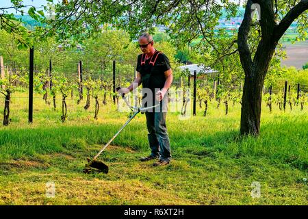 À l'aide d'un homme d'âge Midle débroussailleuse. Homme mature dans le jardin. Concept de jardinage Banque D'Images