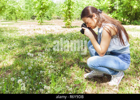 Nature photographe amateur Banque D'Images