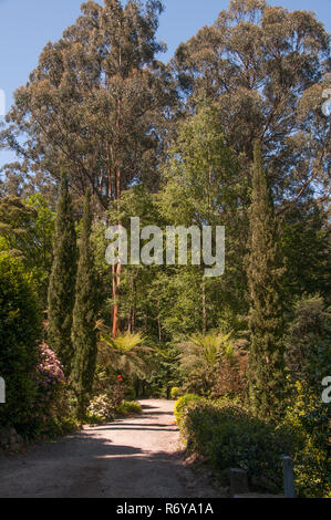 Alfred Nicholas Memorial Gardens, Sherbrooke, Victoria, Australie Banque D'Images