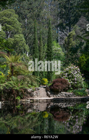 Alfred Nicholas Memorial Gardens, Sherbrooke, Victoria, Australie Banque D'Images