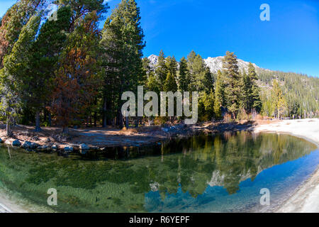 Les pins et dans le lac Emerald Bay, Lake Tahoe Banque D'Images