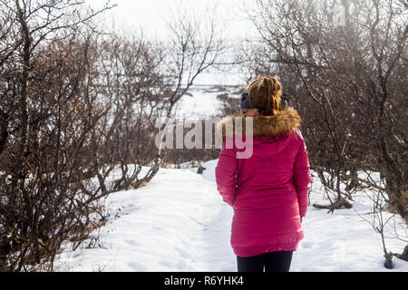 Le parc national de Skaftafell afficher pendant l'hiver la neige qui situé dans Islande Vatnajokull qui mènent à la montagne et cascade Svartifoss Kristinartindar. Banque D'Images