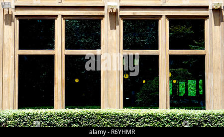 Fenêtre en bois vert avec l'architecture de l'usine de Bush Banque D'Images