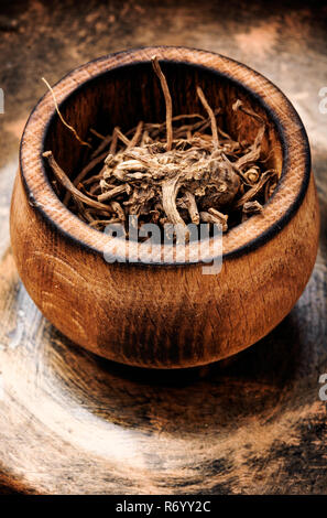 Rhizomes séchés et des racines de la valériane médicinal. Herbes médicinales Banque D'Images