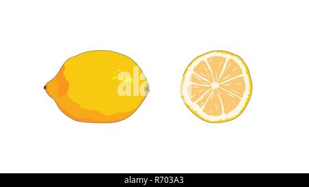 Citron à la main. Ensemble et couper. Illustration de Vecteur