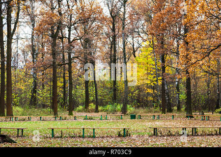 Bancs de pré en parc urbain à l'automne Banque D'Images