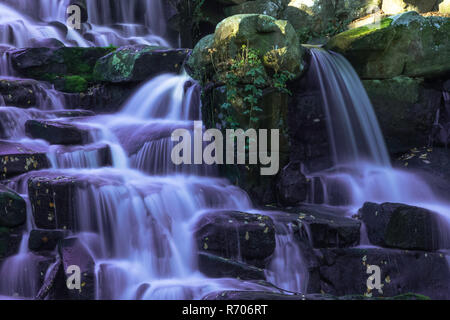 La cascade d'ornement avec chute d'eau violet à Virginia Water, Surrey, Royaume-Uni Banque D'Images