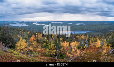 Paysage pittoresque avec des couleurs d'automne et de l'humeur de la forêt des nuages sur le haut de la colline, au soir d'automne dans la région de Laponie, Finlande Banque D'Images