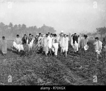 Mahatma Gandhi paix marche à travers les champs de Noakhali, Bengale-Occidental, Inde, décembre 1946, ancienne image millésime 1900 Banque D'Images