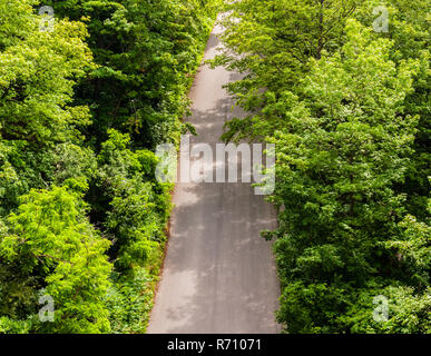 Chemin d'asphalte non vide dans le feuillage dense. Banque D'Images