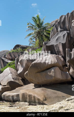 Plage de Grand'Anse de rochers, La Digue, Seychelles Banque D'Images