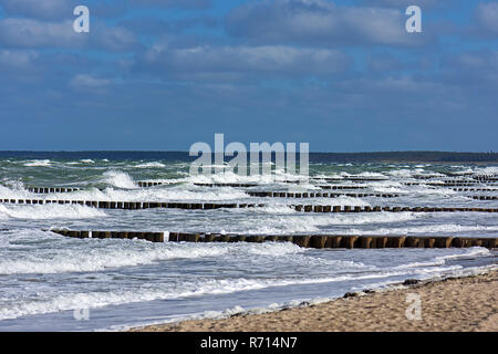 Buhnen pour la protection des côtes, les vagues, la mer Baltique, Darß, Mecklembourg-Poméranie-Occidentale, Allemagne Banque D'Images