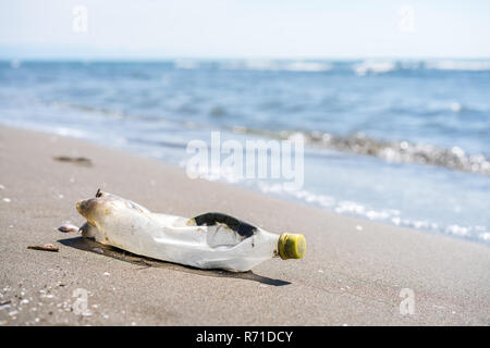 Déchets sur une plage de la mer Banque D'Images