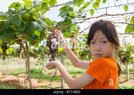 Young woman holding grapes Banque D'Images