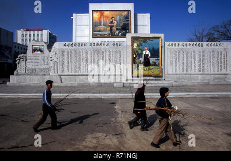 Les habitants de Pyongyang bois précieux de récupération à partir d'un site autorisé à Pyongyang Banque D'Images