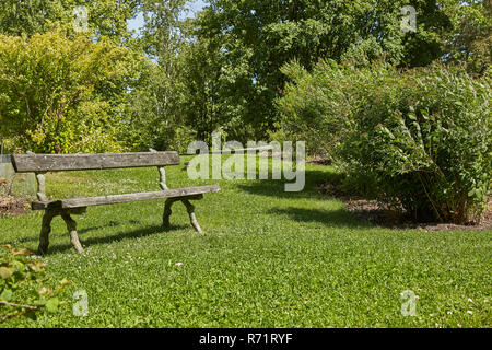 Banc de repos dans le Jardin botanique de Kaisaniemi à Helsinki, Finlande Banque D'Images