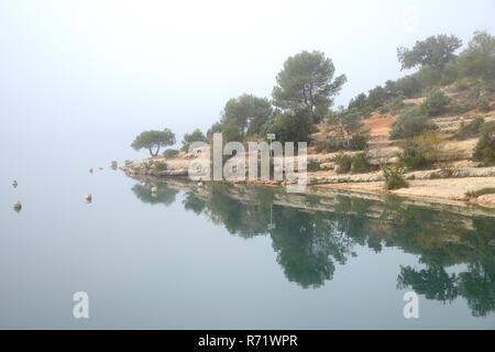 Réflexions sur l'arbre un matin brumeux sur les rives du lac d'Esparron dans le Parc Régional du Verdon Alpes de Haute Provence Provence France Banque D'Images