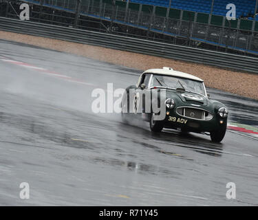 Katarina Kyvalova, Austin Healey 3000 Mk1, 319 AOV, RAC Tourist Trophy, véhicules historiques, de pré-63 GT, Silverstone Classic 2015, Chris McEvoy, raci circuit Banque D'Images