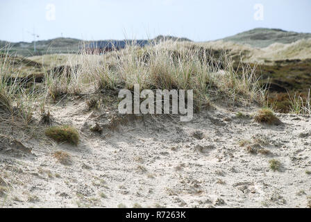 Amrum est l'une des îles frisonnes du Nord sur la côte de la mer du Nord, au sud de Sylt et à l'ouest de Foehr Banque D'Images