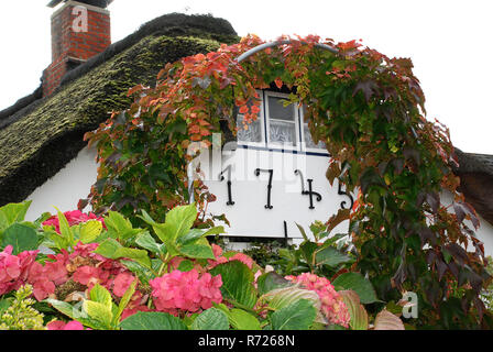 Typuical maison sur l'île frisonne Amrum, Allemagne Banque D'Images