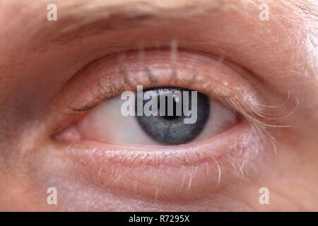 Macro Image Of A Man's Blue Eye Banque D'Images